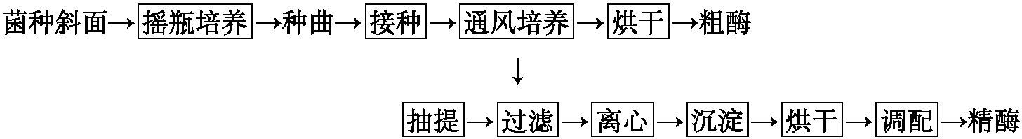 5.酶制剂的生产技术有哪些?